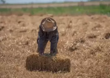 Προϋπολογισμός 40 εκατ. ευρώ για προγράμματα κατάρτισης αγροτών από το ΥΠΑΑΤ