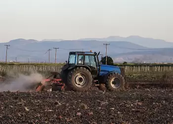 Σπείρα απατεώνων έπαιρνε παράνομες επιδοτήσεις από τον ΟΠΕΚΕΠΕ
