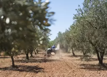Το «Χρηματιστήριο ρύπων» πληρώνει τους Έλληνες αγρότες