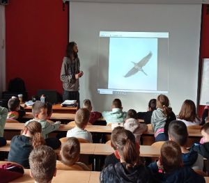 «Πουλιά της λίμνης Πολυφύτου» στο Δημοτικό Σχολείο Αιανής