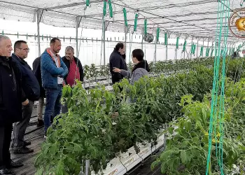 Αυτοψία στα πιλοτικά γεωθερμικά θερμοκήπια –