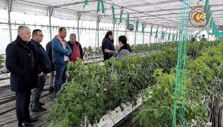 Αυτοψία στα πιλοτικά γεωθερμικά θερμοκήπια –