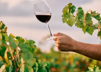 Δωρεάν επισκέψεις σε οινοποιεία της Βόρειας Ελλάδας για την Παγκόσμια Ημέρα Οινοτουρισμού (χάρτης)