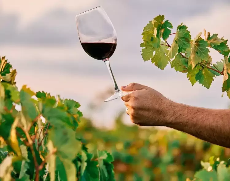 Δωρεάν επισκέψεις σε οινοποιεία της Βόρειας Ελλάδας για την Παγκόσμια Ημέρα Οινοτουρισμού (χάρτης) Δωρεάν επισκέψεις σε οινοποιεία της Βόρειας Ελλάδας για την Παγκόσμια Ημέρα Οινοτουρισμού (χάρτης)