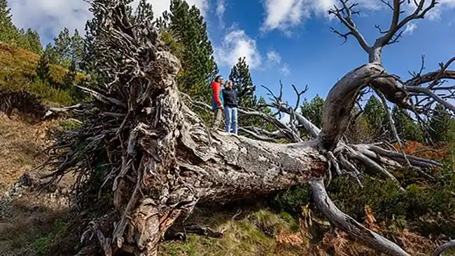 Δυτική Μακεδονία — Εκεί όπου η σιωπή της φύσης συναντά τη φωνή της παράδοσης Δυτική Μακεδονία — Εκεί όπου η σιωπή της φύσης συναντά τη φωνή της παράδοσης
