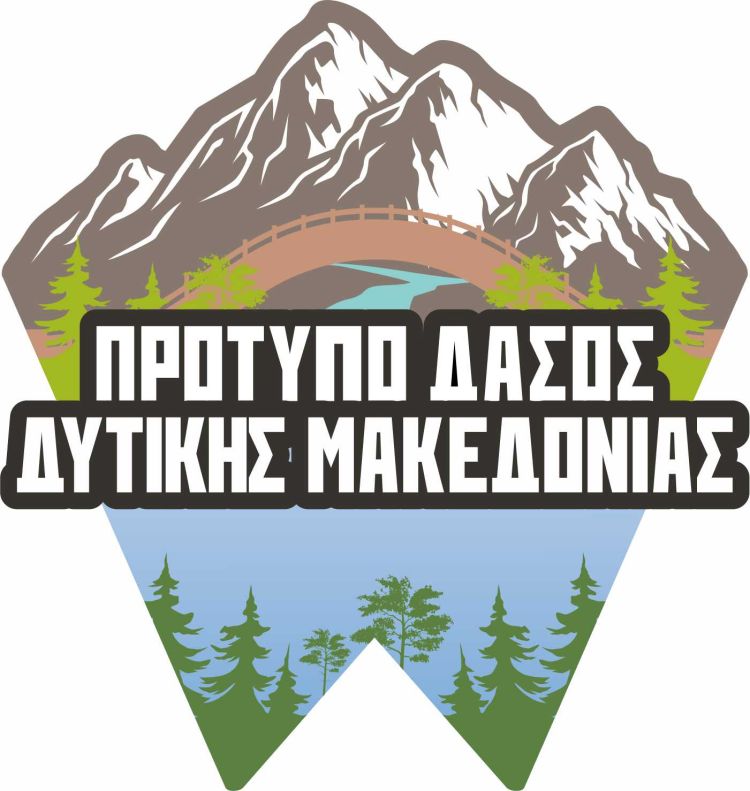 Η Τοπική Καινοτομία Συναντά το Ευρωπαϊκό Όραμα μέσω του Προγράμματος SMURF Ενδυναμώνοντας τις Μικρές Δασικές Ιδιοκτησίες