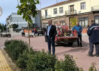 Ολοκληρώθηκε η 2η φάση φύτευσης στα πλαίσια της ανάπλασης του κέντρου του Αμυνταίου