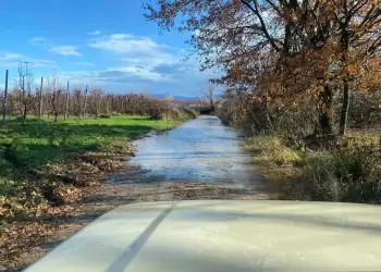Πλημμύρες και κατολισθήσεις στον Δήμο Φλώρινας από τις ισχυρές βροχοπτώσεις Πλημμύρες και κατολισθήσεις στον Δήμο Φλώρινας από τις ισχυρές βροχοπτώσεις