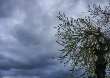 Πώς θα είναι ο καιρός σε Κοζάνη και Δυτική Μακεδονία σήμερα Τετάρτη, 05 Νοεμβρίου 2025: Nεφώσεις με τοπικές βροχές Πώς θα είναι ο καιρός σε Κοζάνη και Δυτική Μακεδονία σήμερα Τετάρτη, 05 Νοεμβρίου 2025: Nεφώσεις με τοπικές βροχές