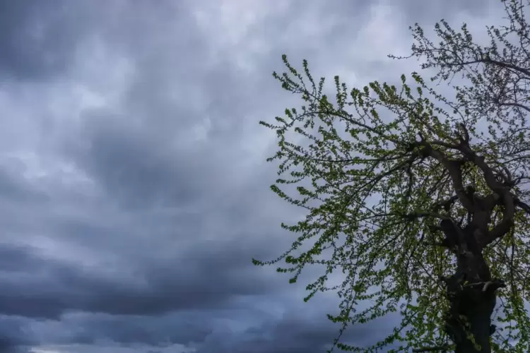 Πώς θα είναι ο καιρός σε Κοζάνη και Δυτική Μακεδονία σήμερα Τετάρτη, 05 Νοεμβρίου 2025: Nεφώσεις με τοπικές βροχές Πώς θα είναι ο καιρός σε Κοζάνη και Δυτική Μακεδονία σήμερα Τετάρτη, 05 Νοεμβρίου 2025: Nεφώσεις με τοπικές βροχές