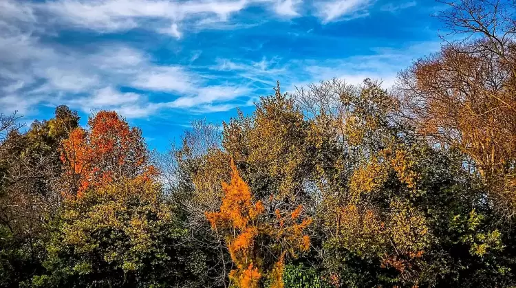 Πώς θα είναι ο καιρός σε Κοζάνη και Δυτική Μακεδονία σήμερα Κυριακή, 16 Νοεμβρίου 2025: Γενικά αίθριος με αραιές νεφώσεις