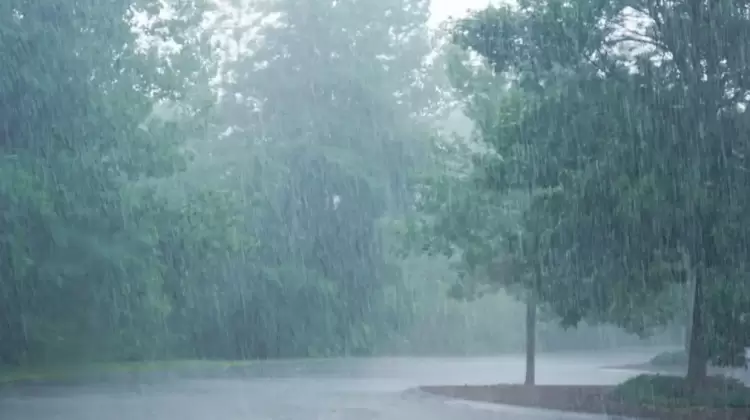 Πώς θα είναι ο καιρός σε Κοζάνη και Δυτική Μακεδονία σήμερα Παρασκευή, 28 Νοεμβρίου 2025: Νεφώσεις με βροχές και καταιγίδες