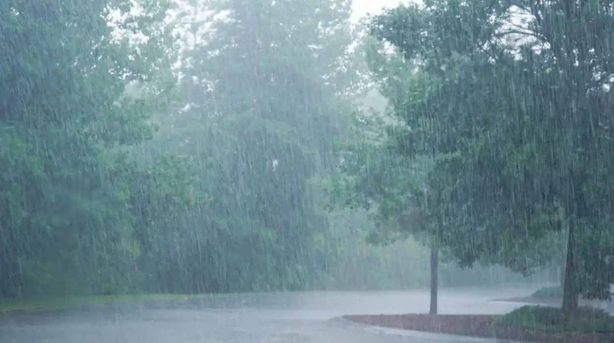 Πώς θα είναι ο καιρός σε Κοζάνη και Δυτική Μακεδονία σήμερα Παρασκευή, 28 Νοεμβρίου 2025: Νεφώσεις με βροχές και καταιγίδες