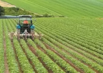 Σχέδια Βελτίωσης 2026: Εκσυγχρονισμός γεωργίας με αγορά μηχανημάτων και νέο εξοπλισμό Σχέδια Βελτίωσης 2026: Εκσυγχρονισμός γεωργίας με αγορά μηχανημάτων και νέο εξοπλισμό