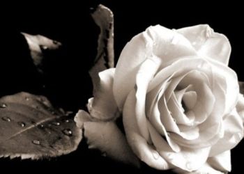 Ο Σύλλογος Γρεβενιωτών Κοζάνης αποχαιρετά τον Νίκο Ζυγούρα Ο Σύλλογος Γρεβενιωτών Κοζάνης αποχαιρετά τον Νίκο Ζυγούρα