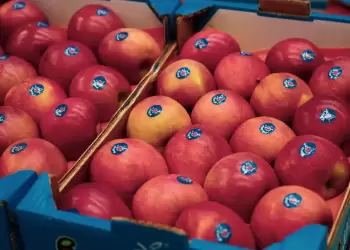 Ξεκίνησε με ενθουσιασμό στη Θεσσαλονίκη η διάθεση σε επιλεγμένα σημεία των πολύ γνωστών μήλων kiku®!