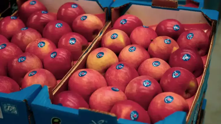 Ξεκίνησε με ενθουσιασμό στη Θεσσαλονίκη η διάθεση σε επιλεγμένα σημεία των πολύ γνωστών μήλων kiku®!