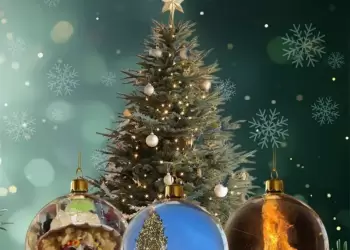 Η Μαγεία των Εορταστικών Εκδηλώσεων στο Βόιο