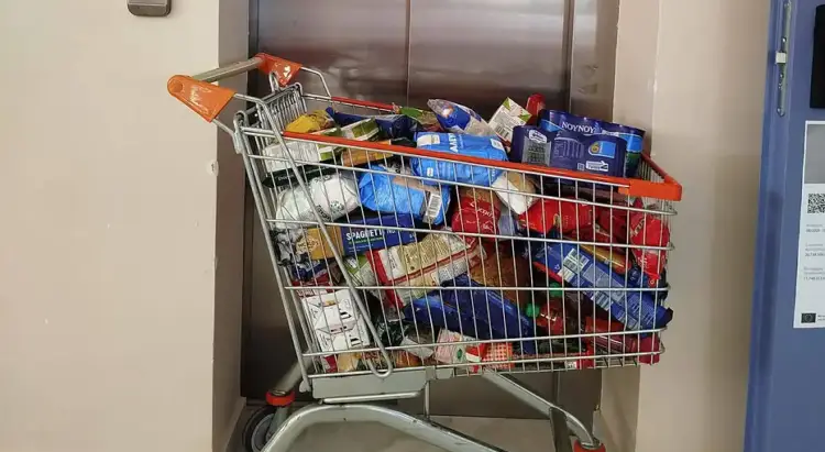 Μαθητές του Καλλιτεχνικού σχολείου Κοζάνης, συγκέντρωσαν τρόφιμα για την ενίσχυση της δομής συσσιτίου του Δήμου Μαθητές του Καλλιτεχνικού σχολείου Κοζάνης, συγκέντρωσαν τρόφιμα για την ενίσχυση της δομής συσσιτίου του Δήμου