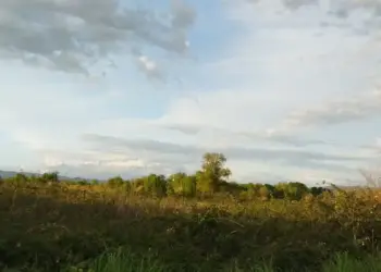 Πώς θα είναι ο καιρός σε Κοζάνη και Δυτική Μακεδονία σήμερα Τετάρτη, 10 Δεκεμβρίου 2025: Αραιές νεφώσεις κατά τόπους Πώς θα είναι ο καιρός σε Κοζάνη και Δυτική Μακεδονία σήμερα Τετάρτη, 10 Δεκεμβρίου 2025: Αραιές νεφώσεις κατά τόπους