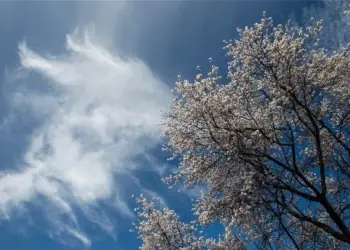 Πώς θα είναι ο καιρός σε Κοζάνη και Δυτική Μακεδονία σήμερα Σάββατο, 13 Δεκεμβρίου 2025: Γενικά αίθριος με λίγες νεφώσεις Πώς θα είναι ο καιρός σε Κοζάνη και Δυτική Μακεδονία σήμερα Σάββατο, 13 Δεκεμβρίου 2025: Γενικά αίθριος με λίγες νεφώσεις