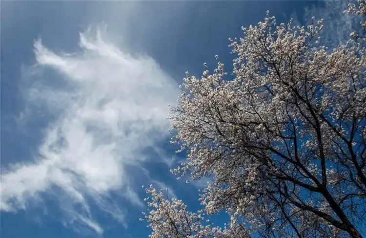 Πώς θα είναι ο καιρός σε Κοζάνη και Δυτική Μακεδονία σήμερα Σάββατο, 13 Δεκεμβρίου 2025: Γενικά αίθριος με λίγες νεφώσεις Πώς θα είναι ο καιρός σε Κοζάνη και Δυτική Μακεδονία σήμερα Σάββατο, 13 Δεκεμβρίου 2025: Γενικά αίθριος με λίγες νεφώσεις